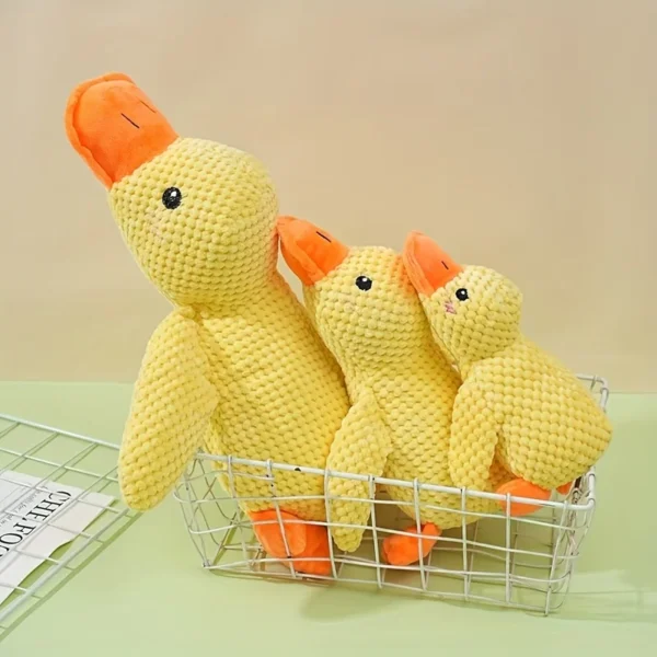 Durable Plush Squeaky Toy