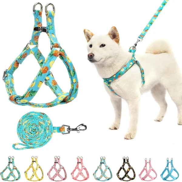 No-Pull Dog Harness Set